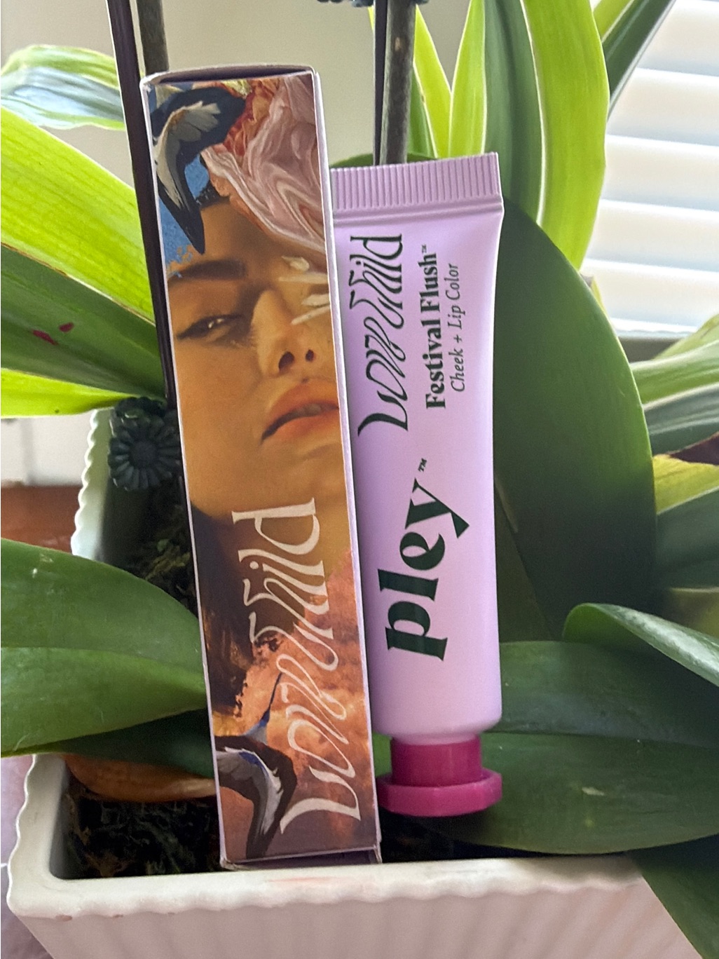 Play By Festival Flush Cheek + Lip Color Pink